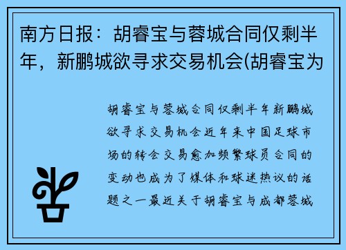 南方日报：胡睿宝与蓉城合同仅剩半年，新鹏城欲寻求交易机会(胡睿宝为什么叫曼城名宿)